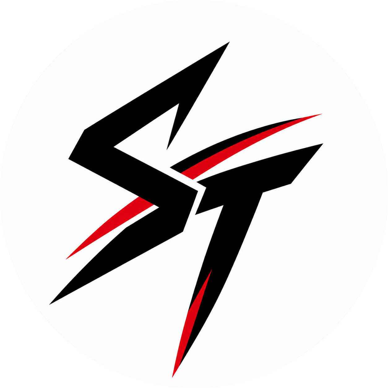 Shane's Testing Grounds logo